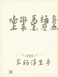 墙排马桶臭味反上来怎么办