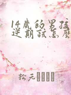 14岁的男孩叛逆期该怎么教育