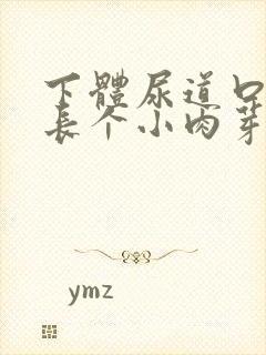 下体尿道口突然长个小肉芽