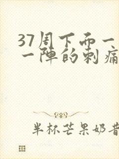 37周下面一阵一阵的刺痛