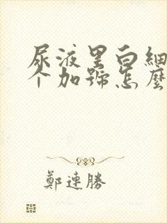 尿液里白细胞2个加号怎么回事