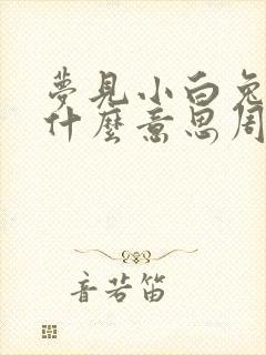 梦见小白兔子是什么意思周公解梦