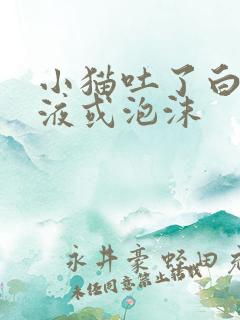 小猫吐了白色黏液或泡沫