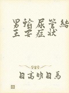 男输尿管结石的主要症状