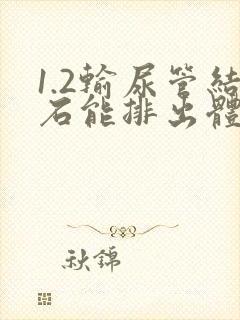 1.2输尿管结石能排出体外吗