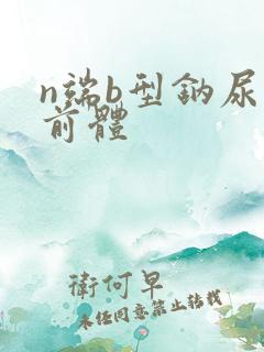 n端b型钠尿肽前体