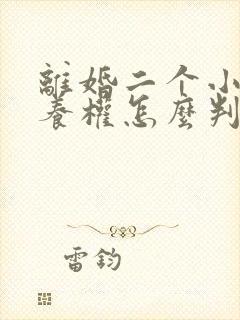 离婚二个小孩抚养权怎么判