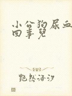 小公狗尿血怎么回事儿