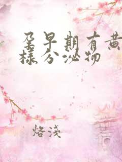 孕早期有黄色水样分泌物