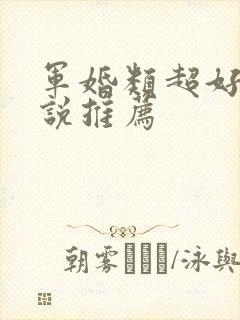 军婚类超好看小说推荐