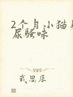 2个月小猫身上尿骚味