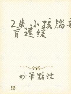 2岁小孩脑部发育迟缓