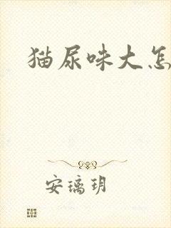 猫尿味大怎么办