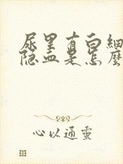 尿里有白细胞和隐血是怎么回事