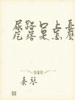 尿路口上长得小疙瘩是怎么回事