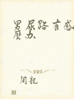 男尿路有感染怎么办