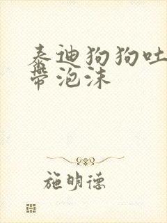 泰迪狗狗吐黄水带泡沫