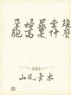 孕妇尿常规红细胞高是什么原因