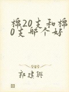 棉20支和棉40支哪个好