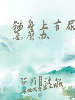 猫身上有尿骚味怎么办