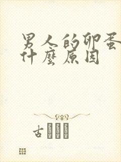 男人的卵蛋胀疼什么原因