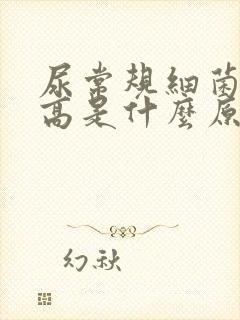 尿常规细菌计数高是什么原因