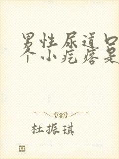 男性尿道口长一个小疙瘩是怎么回事