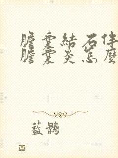 胆囊结石伴慢性胆囊炎怎么办