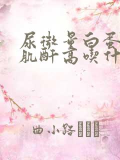 尿微量白蛋白尿肌酐高吃什么药