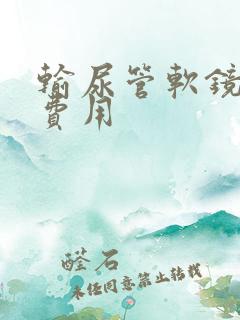 输尿管软镜取石费用