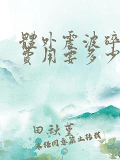 体外震波碎石术费用要多少