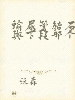 输尿管结石上段与下段哪个严重