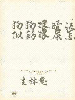 狗狗眼睛流黄脓似的眼屎怎么回事