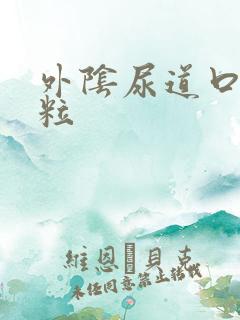 外阴尿道口有肉粒