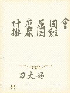 什么原因会导致排尿困难