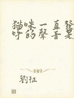 猫咪一直发出呼呼的声音是怎么回事