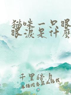 猫咪一只眼睛流眼泪是什么情况