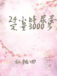 24小时尿蛋白定量3000多严重吗