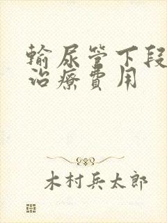 输尿管下段结石治疗费用