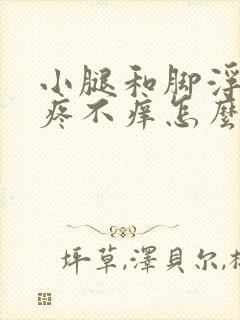 小腿和脚浮肿不疼不痒怎么回事