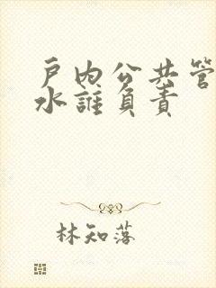 户内公共管道漏水谁负责