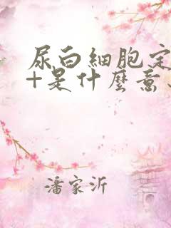 尿白细胞定性2+是什么意思