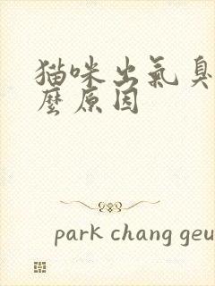 猫咪出气臭是什么原因