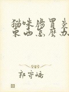 猫咪肠胃炎不吃东西怎么办