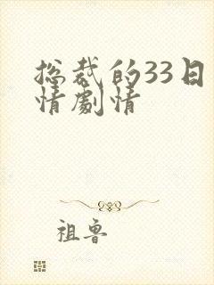 总裁的33日索情剧情