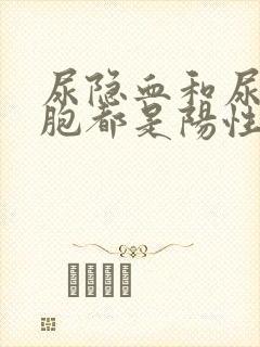 尿隐血和尿白细胞都是阳性