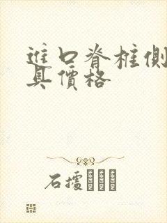 进口脊椎侧弯支具价格