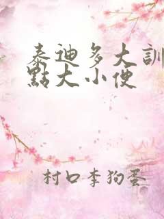 泰迪多大训练定点大小便