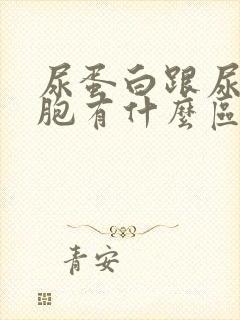 尿蛋白跟尿白细胞有什么区别