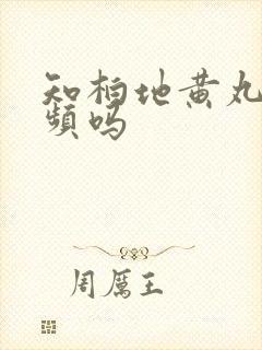 知柏地黄丸治尿频吗